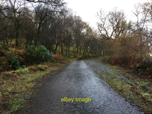 Photo 12x8 Track into Kenmore Wood, Loch Lomond Inveruglas  c2022