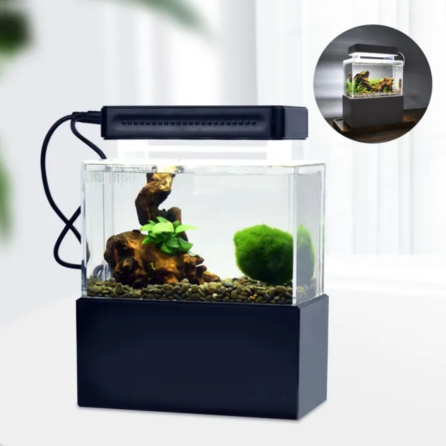 Rectangular Ecological Small Fish Tank Acrylic Transparent Aquarium With Light