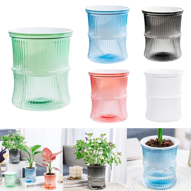 Vase à Fleurs Suspendu Au Mur En Verre Transparent Pour La Culture