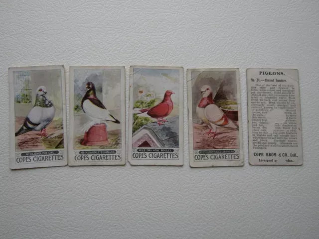 Copes Cigarettes Cards 1926 Pigeons Card Variants (e35)