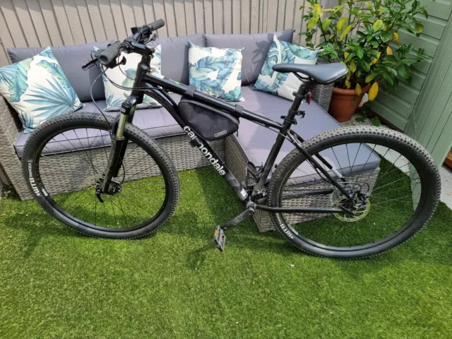 Cannondale 2019 online trail 7