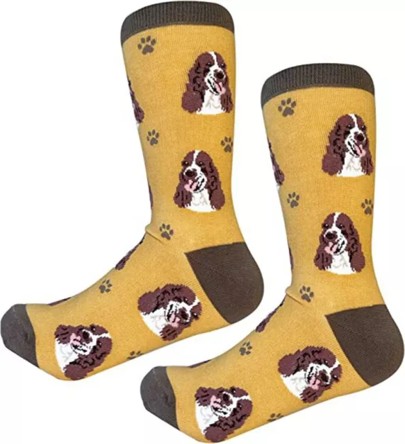 Sock Daddy Springer Spaniel Socks 800-42