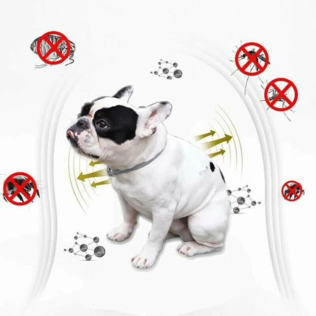 Electric Pet Flea Lice Cleaner Comb Dog Brush 7
