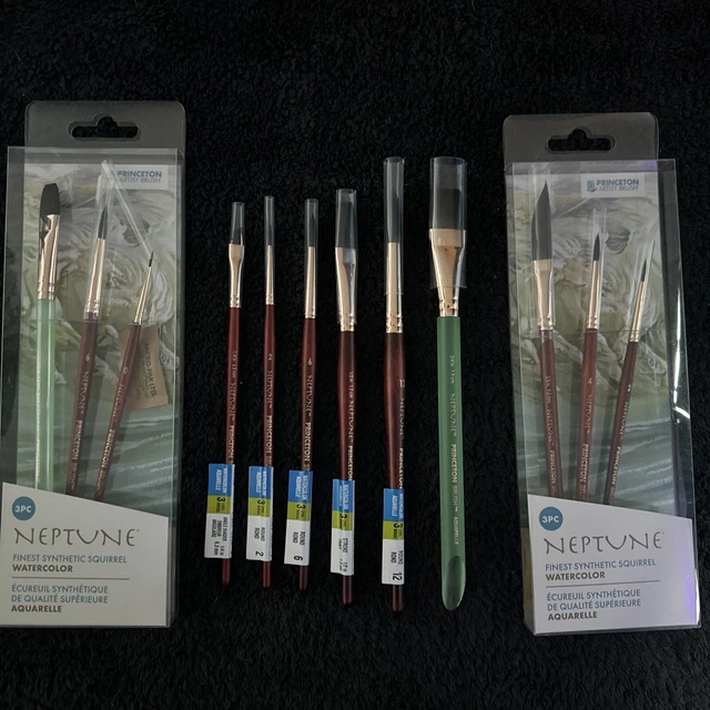 12 PAINT BRUSHES PRINCETON NEPTUNE Paint Brushes All New Brush Lot
