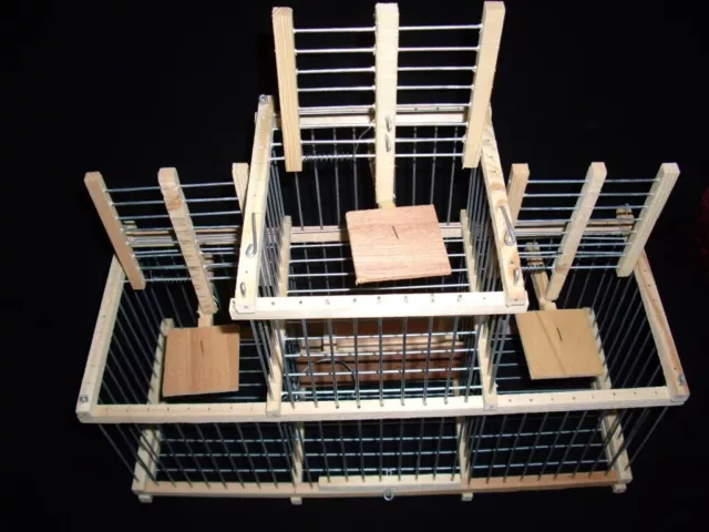 Trap Cage with 3 Traps for birds 3