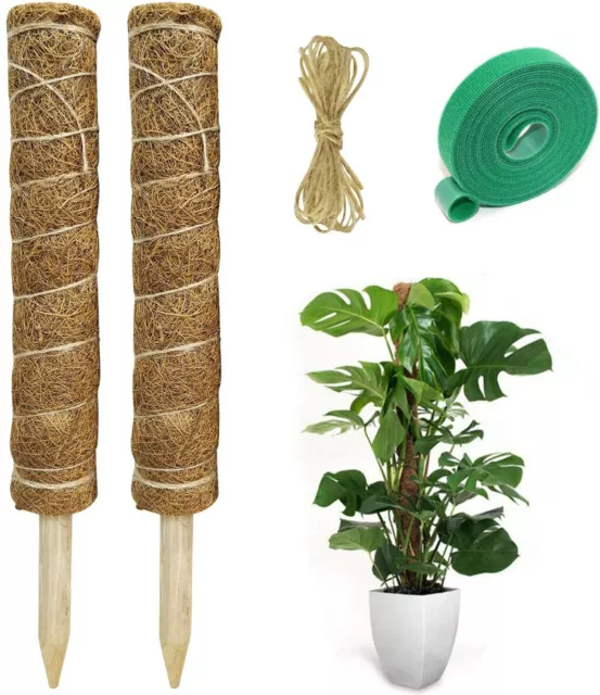 2 Pièces Tuteur Plante Support Plante Grimpante Tuteur Coco pour Plante Jardin