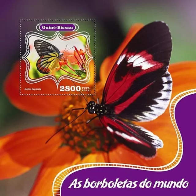 BUTTERFLIES of the World Insects MNH Stamp Sheet #552 (2014 Guinea-Bissau)