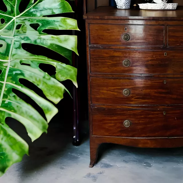 Late Georgian / Early Victorian Mahogany Chest of Drawers 2