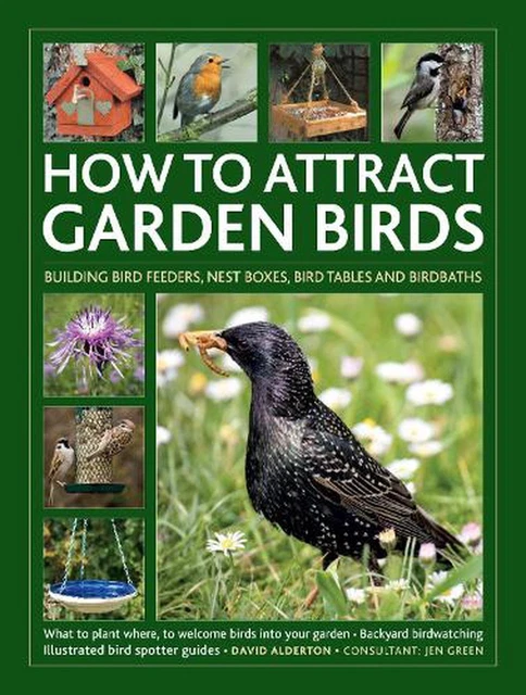 HOW TO ATTRACT Garden Birds: What to plant; Bird feeders, bird tables ...