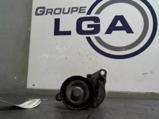 🇫🇷🥇Galet tendeur 210511238R RENAULT MASTER 3 PHASE 2 ✅ /R:17844858