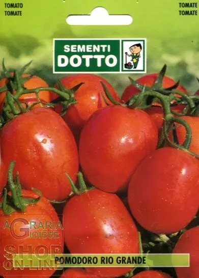 16584 Semi Di Pomodoro Rio Grande Acciaioso Per Conserve