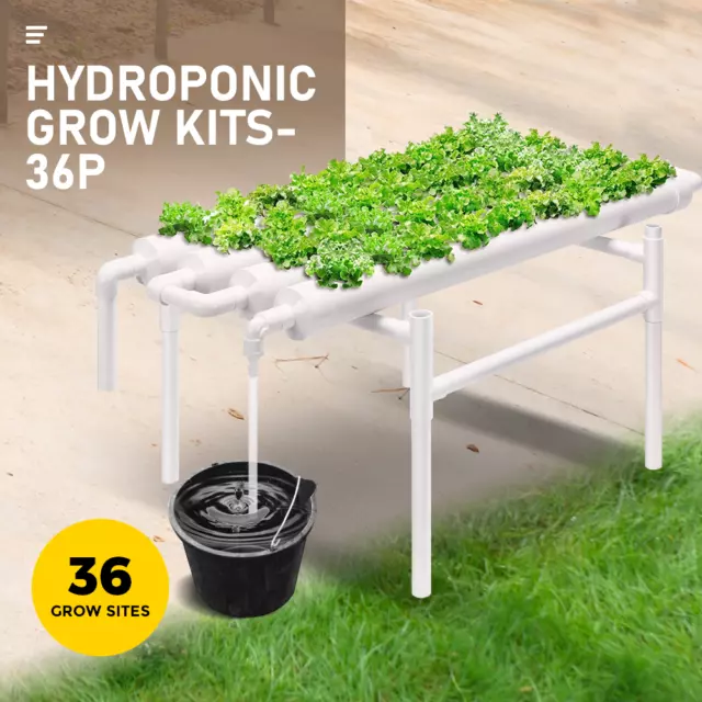 36 Sites Hydroponic Grow Tool Kits Vegetable Garden System Home 220V Water Pump