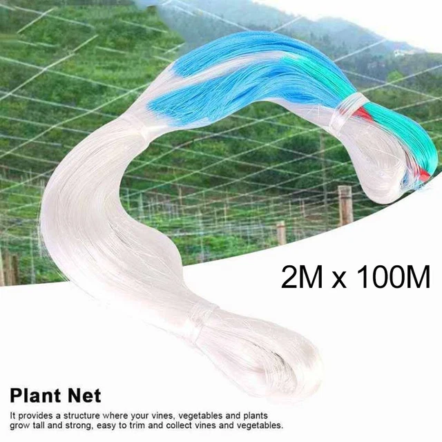 1piec Egarden Plante Fruit De Treillis Soutien Filet Grimpant Cadre for Pea Neuf