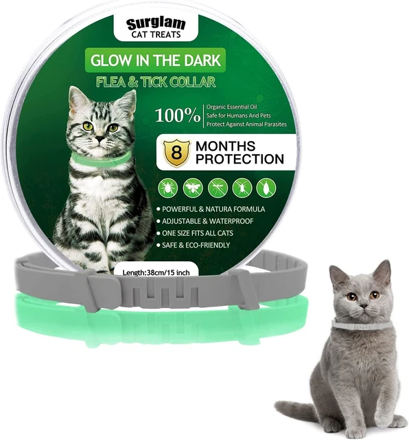 ✅⭐ESPAÑA ENVIOS⭐ Collar Antipulgas Antigarrapatas Gatos Ajustable