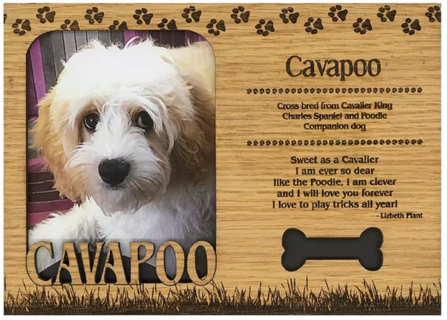 Cavapoo Engraved Wood Picture Frame Magnet