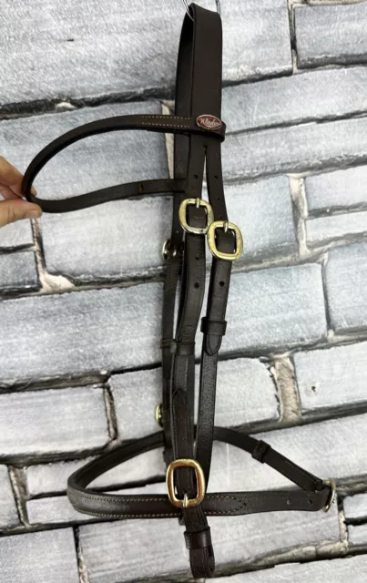 Cob Size Windsor InHand Showing Bridle - Brown & Brass Whole Buckles