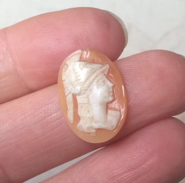 CAMEE Ancien XIXè Portrait Femme Casquée Coquillage Victorian Shell Cameo 19thC