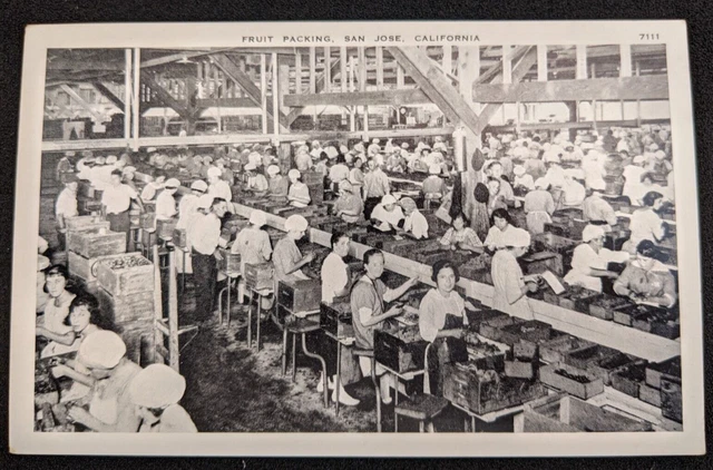 Fruit Packing, San Jose CA  - B&W Unposted - Pacific Novelty Co