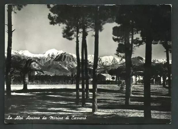 Marina di Carrara ( Massa ) : Le Alpi Apuane - cartolina viaggiata nel 1957