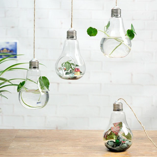 Hanging Flower Pot Glass Bulb Terrarium Container Round Hydroponics