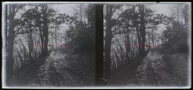 Route de montagne enneigée c1930 Photo NEGATIVE Plaque Stereo Vintage 