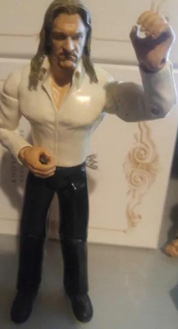 WWE WWF Jakks Pacific Wrestling Figur Triple H (white shirt)