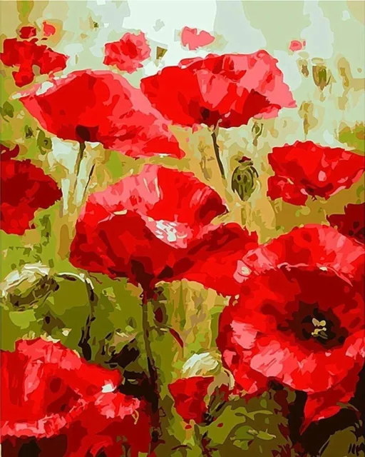 Paint By Numbers - ANZAC RED POPPIES - 40x50 DIY painting kit - AU Stock