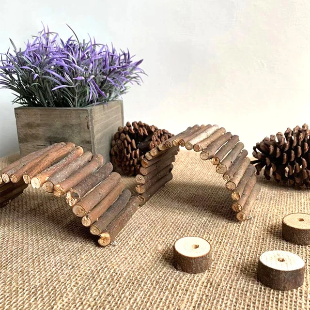 Hámster Arch Bridge Multifuncional Resistente Mascota Escalada Hámster Accesorio