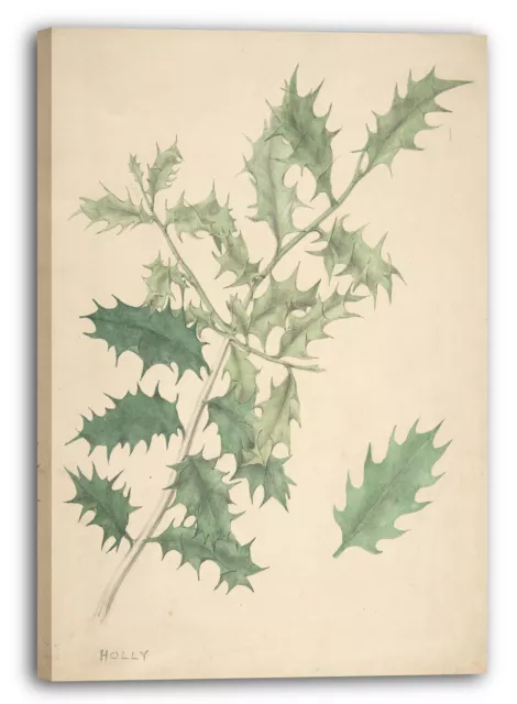 Canvas/Frames Anonymous, British, 19th century - Holly Leaves