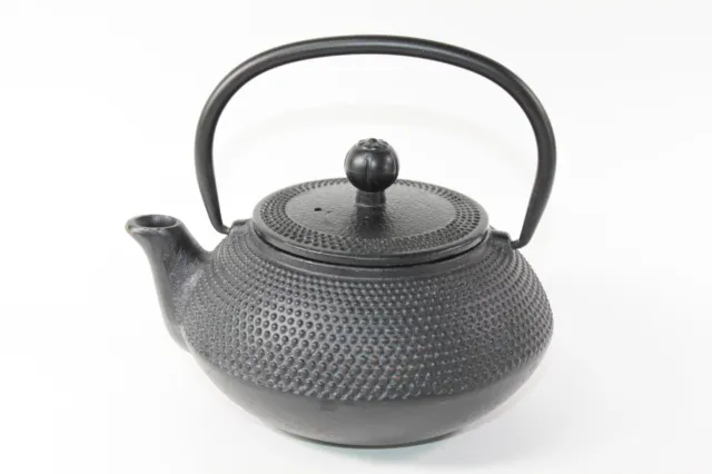 24 fl oz Black Small Dot Japanese Cast Iron Teapot Tetsubin with Infuser Filter