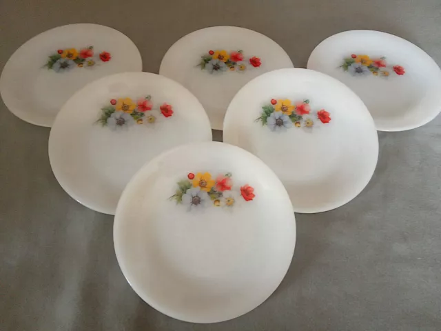 Lot  6 Assiettes A Dessert Arcopal - Vintage 1978 -Decors Fleurs Anemones