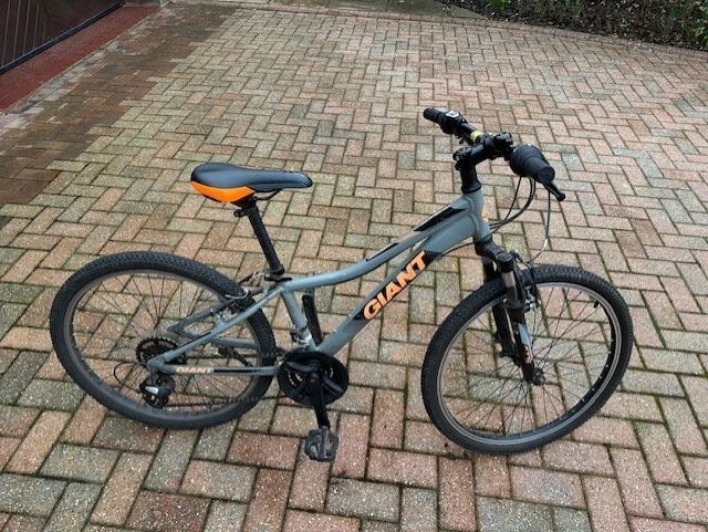 Giant xtc sales jr 24 2019