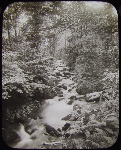 Glass Magic Lantern Slide LYNMOUTH GLEN AT ILSFORD C1890 PHOTO DEVON