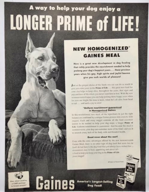 1953 Gaines Dog Pet Food Great Dane MCM Vintage Print Ad Poster Man Cave Art 50s