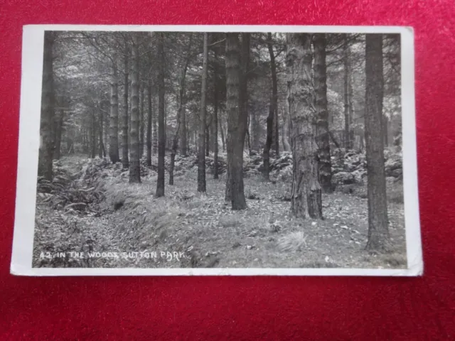 In The Woods, Sutton Park, RP by E. Lewis, Direct Photos, Birmingham Posted 1908