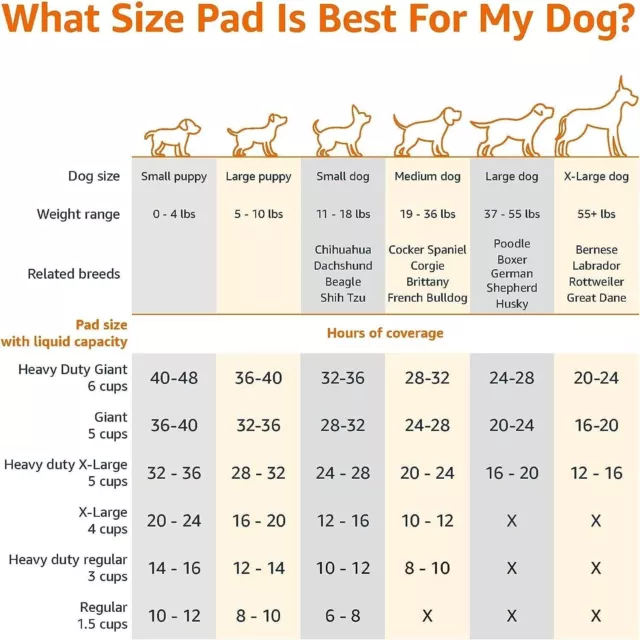 Pet Training and Puppy Pads, Regular 100 Count Amazon Basics   22x22 2