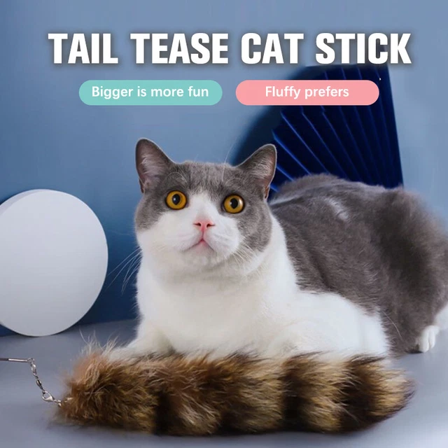Funny Cat Plush Tail Teaser Wand Toy Kitten Cat Exercise Playing Accessor~m'
