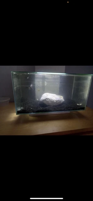 fish tank