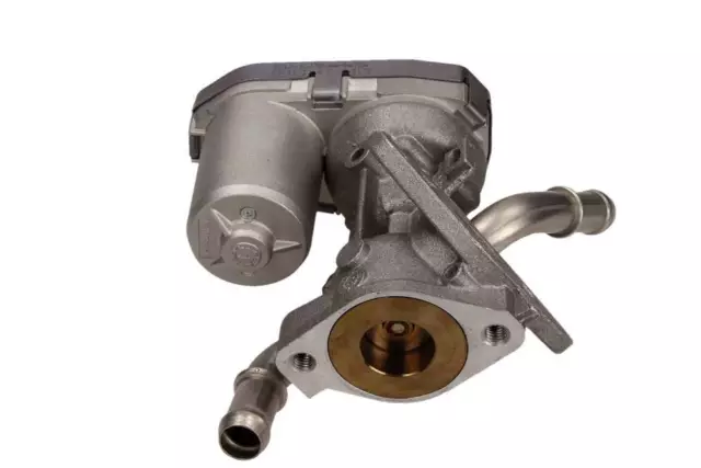 Válvula EGR para ORG Ford 1480549