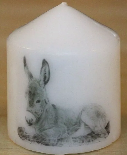 Candle Picture Donkey New Can Be Personalised Gift Birthday Memorial Retire New