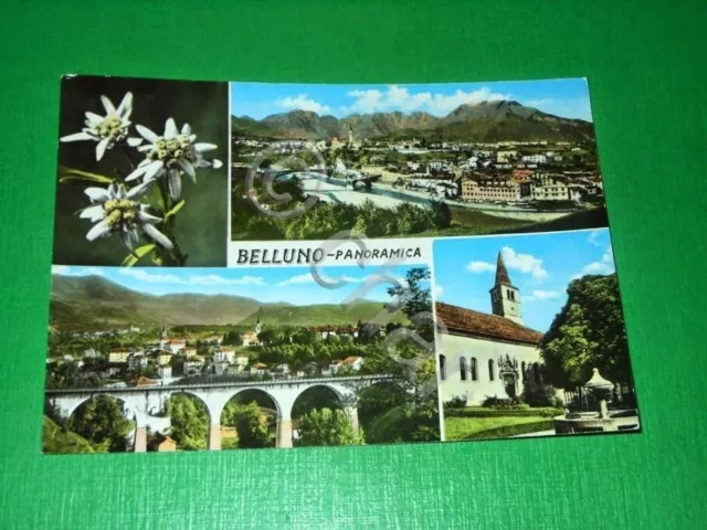 Cartolina Belluno - Panoramica - Vedute diverse 1965