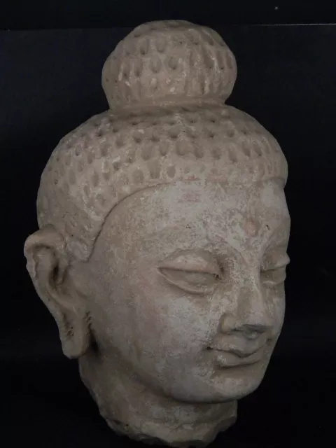 Ancient Large Size Teracotta Buddha Head Gandhara/Gandharan C.300 AD #IK847