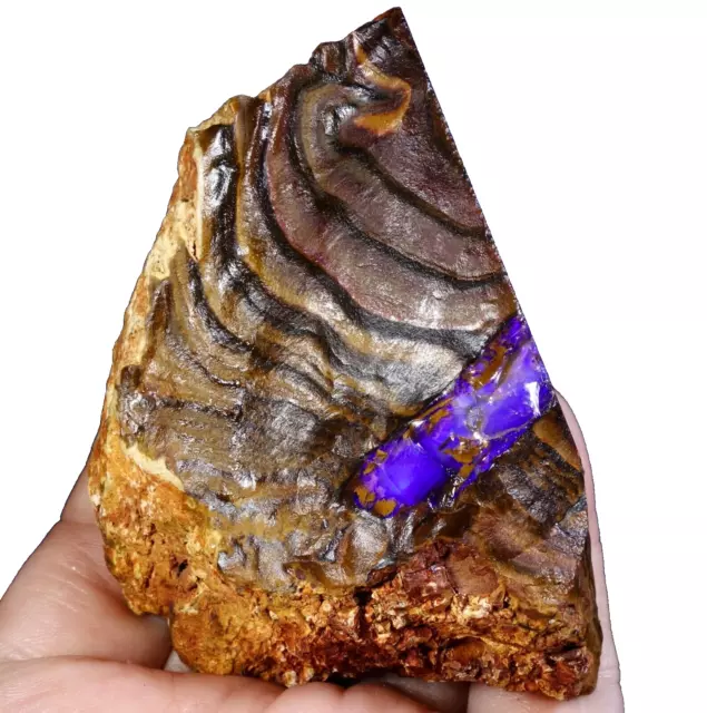 Rare Rough Boulder Opal Wood Replacement Fossil Specimen, QLD Australia