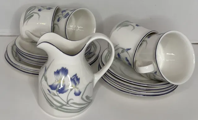 Royal Doulton Minerva 15 Piece Tea Set - Cups, Saucers, Milk Jug, Plates