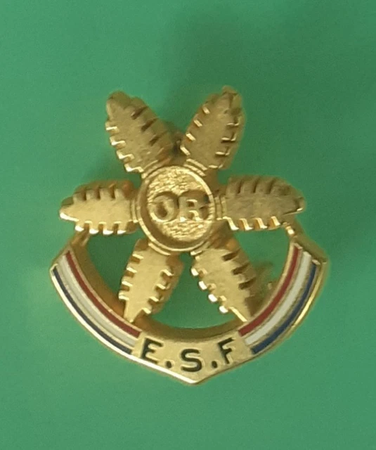 Insigne Ancien École De Ski Française – Le Chamois De France, Métal Et Cuir, Alpes