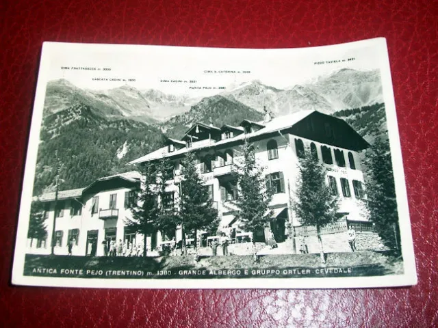 Cartolina Antica Fonte Pejo - Grande Albergo e Gruppo Ortler Cevedale 1953
