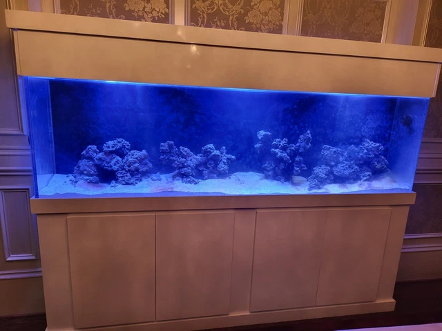Custom 300 Gallon Acrylic Aquarium Stand & Canopy & Accessories