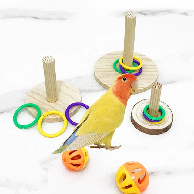 How to Clean Wooden Bird Toys: Easy Steps for Safe, Sparkling Results