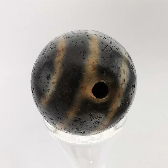 Pumtek Pyu Ghost 2 Eye Agate Bead DZI Indo Tibetan 19MM #471 6