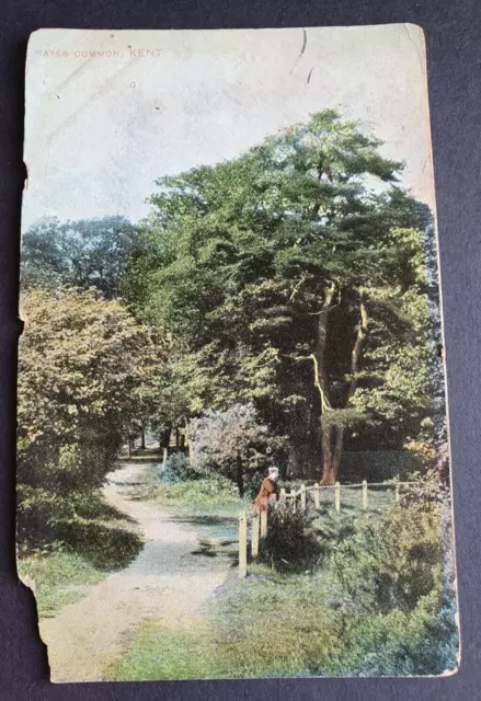 Fields "Kent" Series No. 113 Postcard - Hayes Common, Kent - 1912 #w
